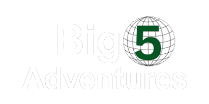 BIG 5 Logo